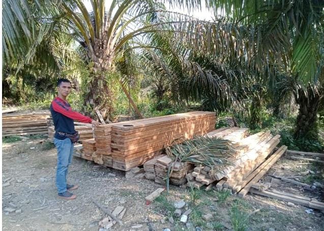 Kayu yang Disita oleh Polsek Kampar Kiri “Raib” dari Mako Polsek