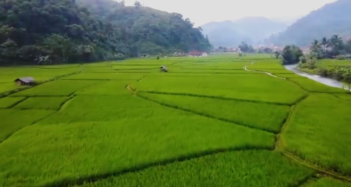 Asal Usul Nama Purasari di Kecamatan Leuwiliang, Bogor