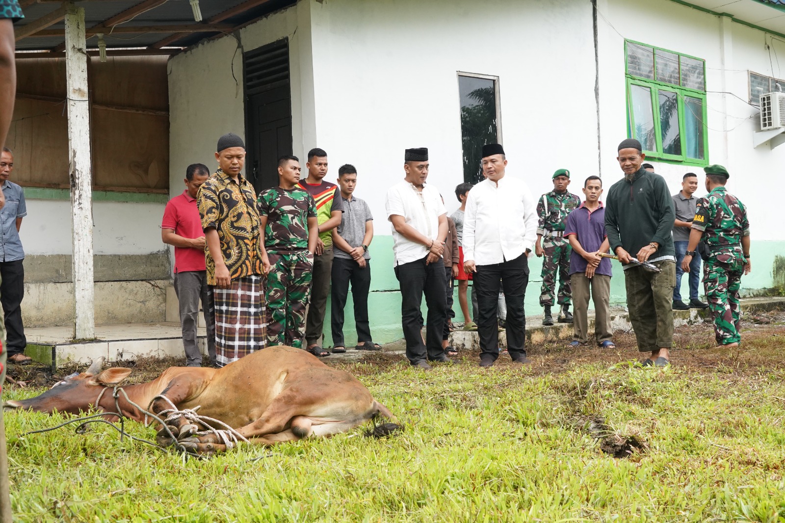 Danrem 012/TU Serahkan 3 Ekor Sapi Untuk Tradisi Meugang
