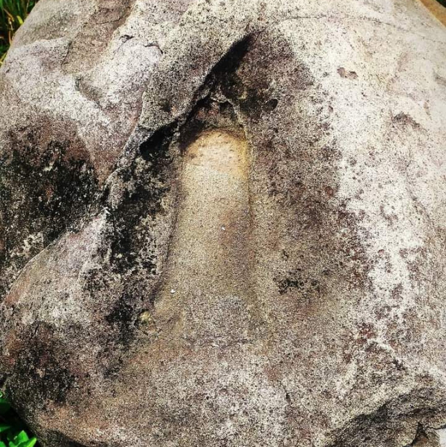 Menggali Keindahan yang Terabaikan: Situs Batu Tapak di Desa Harkatjaya, Kecamatan Sukajaya, Bogor