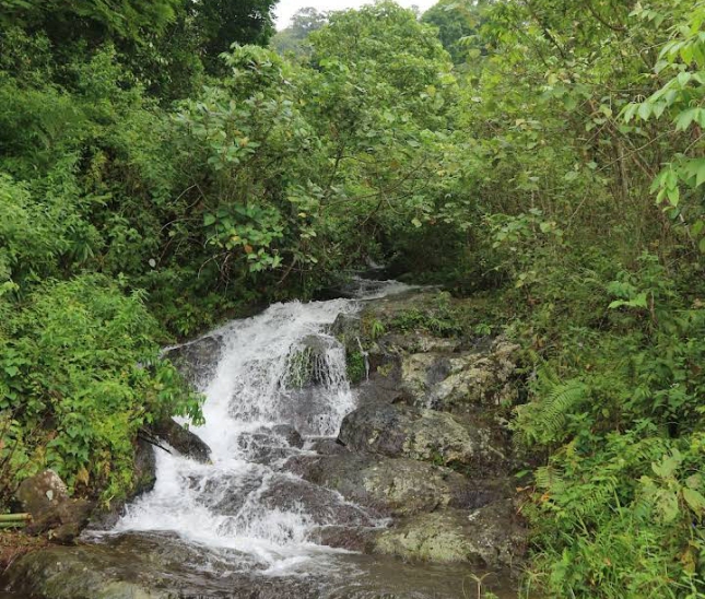 Screenshot_20240424-101545_1