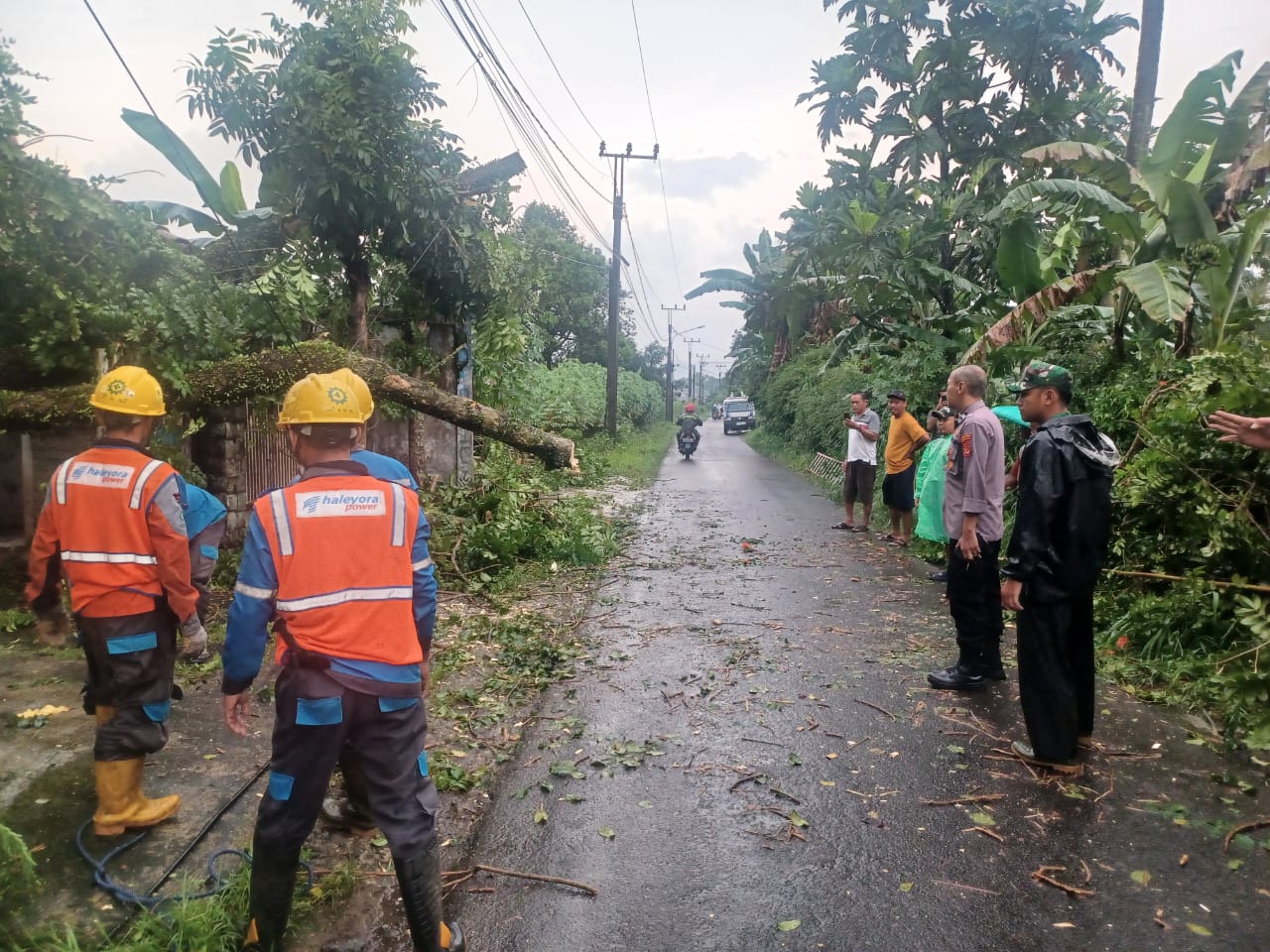 Pohon Tumbang Timpa Kabel dan Tiang Listrik di Desa Tegalwaru Polsek Ciampea, Bersama Instansi Terkait Lakukan Evakuasi
