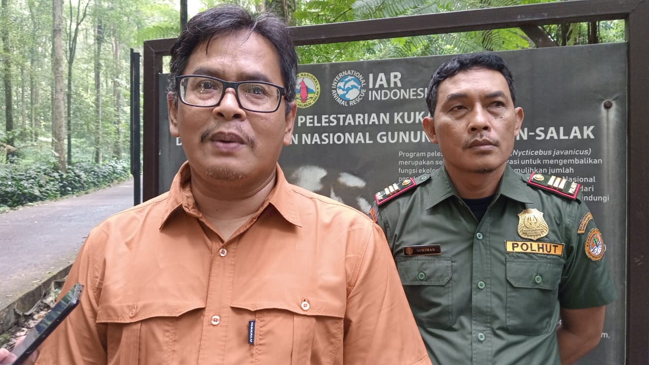 Pengunjung dari Jabodetabek Membanjiri TNGHS