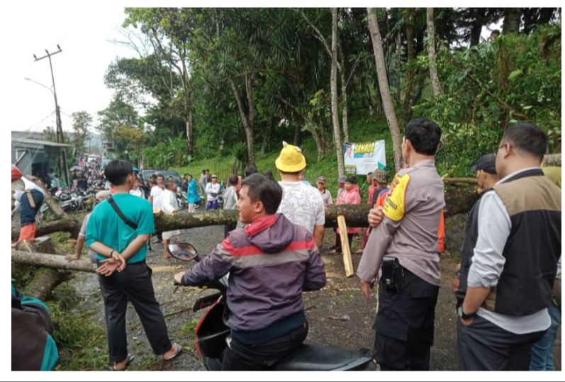 1162b34c-33ad-451c-b9b5-d8e5a85bf96c