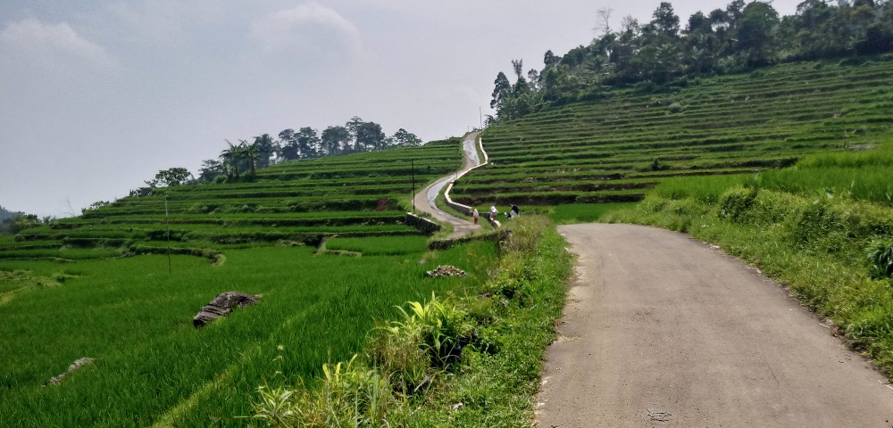 Sejarah Kampung Cisalada, Desa Purwabakti, Pamijahan, Bogor Sejarah Kampung Cisalada, Desa Purwabakti, Pamijahan, Bogor