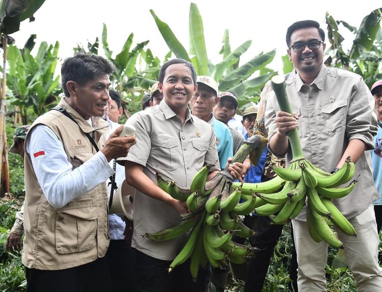 Raja Antoni Kunjungi Lumajang, Pastikan Kontribusi Perhutanan Sosial pada Rantai Pasok Pangan Nasional Raja Antoni Kunjungi Lumajang, Pastikan Kontribusi Perhutanan Sosial pada Rantai Pasok Pangan Nasional