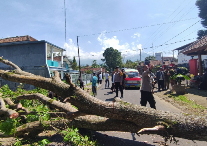 Jaga Kelancaran Lalin Akibat Pohon Tumbang, Kapolsek Kadudampit Bantu Warga Bereskan Pohon Jaga Kelancaran Lalin Akibat Pohon Tumbang, Kapolsek Kadudampit Bantu Warga Bereskan Pohon