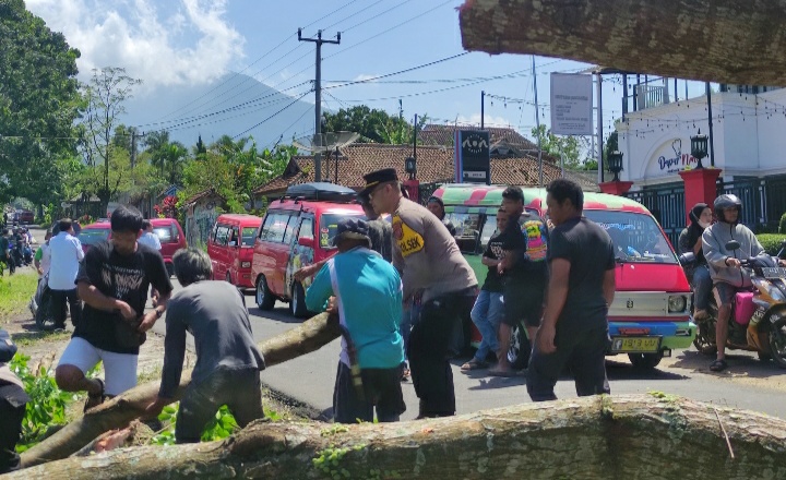 Jaga Kelancaran Lalin Akibat Pohon Tumbang, Kapolsek Kadudampit Bantu Warga Bereskan Pohon