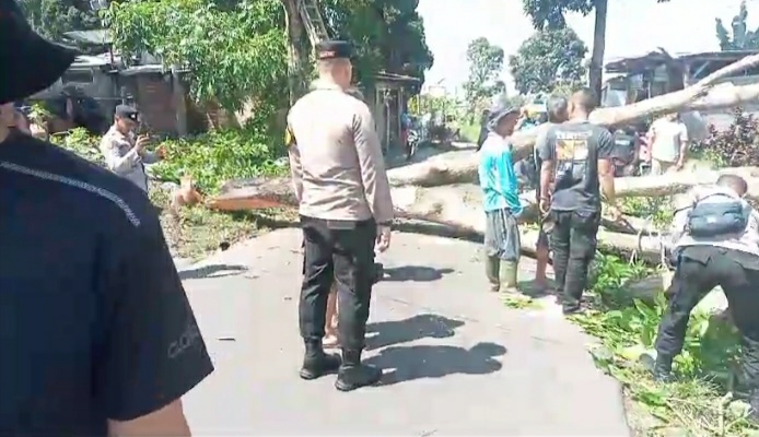 Sebuah Pohon Tumbang Timpa Rumah Warga Di Jln Situgunung Kadudampit Sukabumi Sebuah Pohon Tumbang Timpa Rumah Warga Di Jln Situgunung Kadudampit Sukabumi