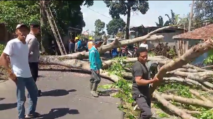 Sebuah Pohon Tumbang Timpa Rumah Warga Di Jln Situgunung Kadudampit Sukabumi Sebuah Pohon Tumbang Timpa Rumah Warga Di Jln Situgunung Kadudampit Sukabumi