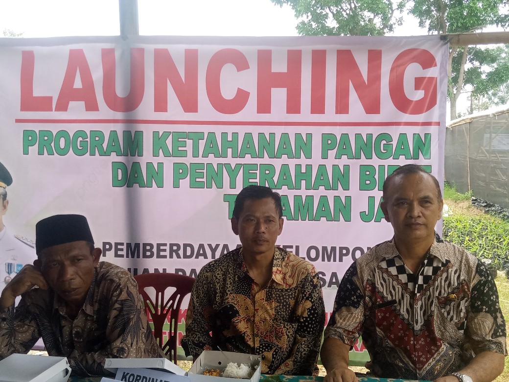 Bibit Jahe Merah Jadi Fokus Utama Program Ketahanan Pangan di Desa Situ Ilir