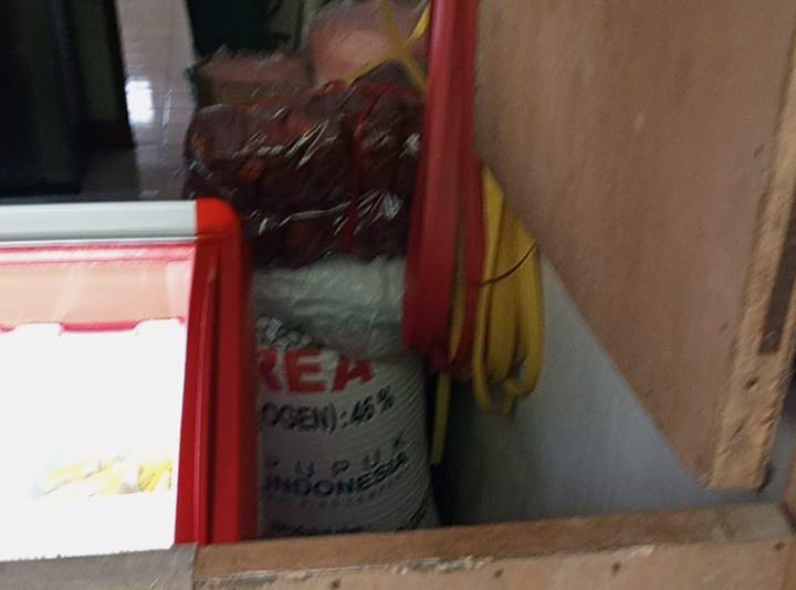 Di duga Bantuan Bibit dan Pupuk Untuk salah satu Poktan Di Desa Cikahuripan Di Timbun, Dinas Diam