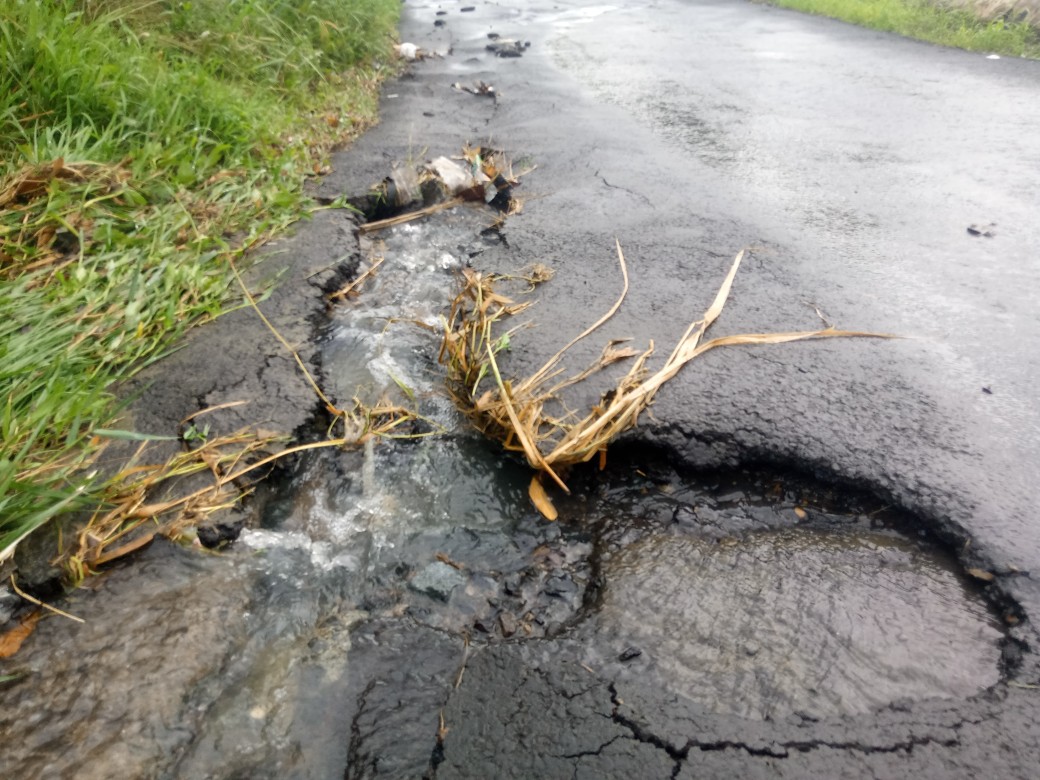 IMG_20250107_130910_912