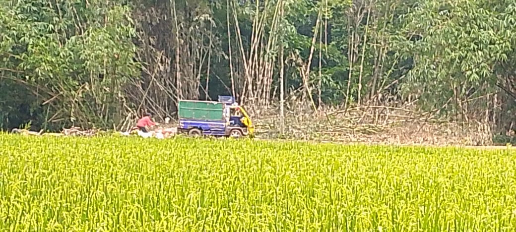 Warga Resah! Tempat Pembuangan Sampah Ilegal di Serang Baru Diduga Milik Oknum Warga