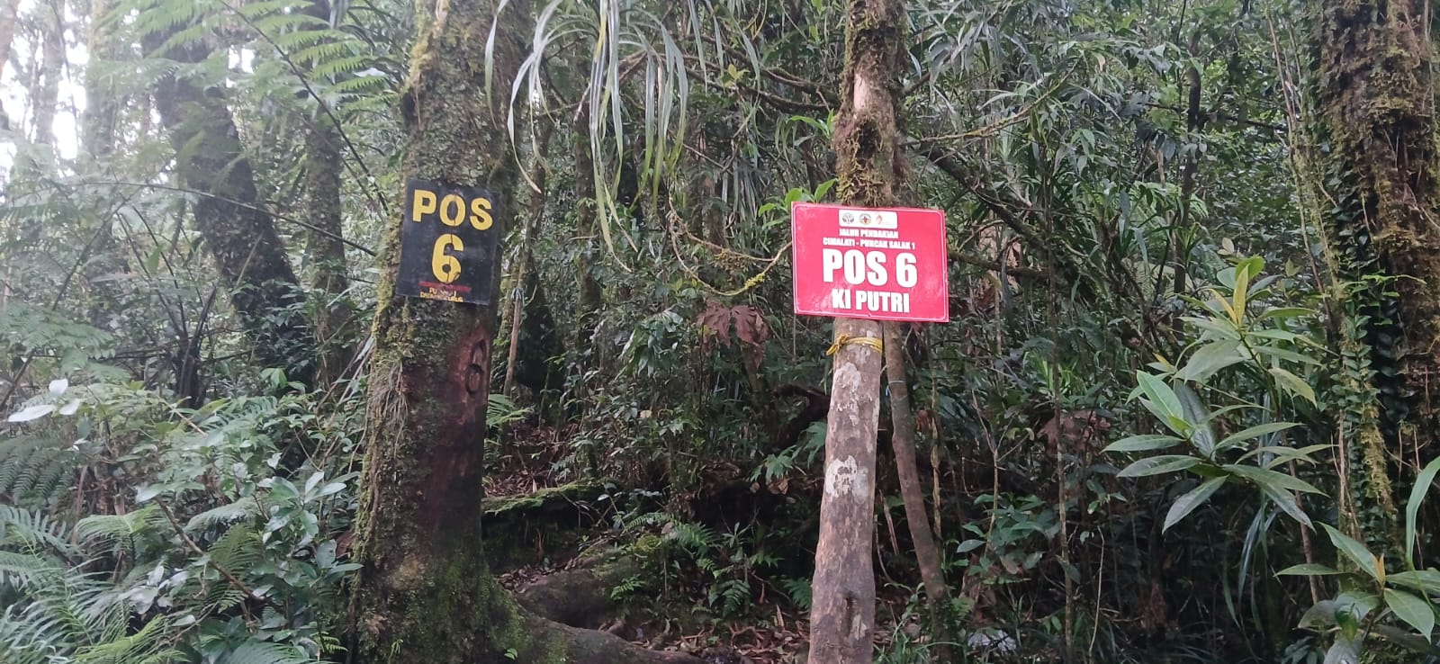 Optimalisasi Pengelolaan dan Pengembangan Jalur Pendakian Puncak Salak