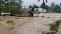 Upaya Percepatan Penanganan Darurat, BNPB Berikan Pendampingan Banjir di Aceh Upaya Percepatan Penanganan Darurat, BNPB Berikan Pendampingan Banjir di Aceh