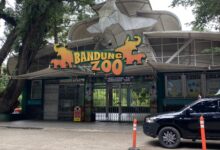Geopix Desak Otoritas Kendalikan Pembukaan Bandung Zoo dan Prioritaskan Kesejahteraan Satwa Geopix Desak Otoritas Kendalikan Pembukaan Bandung Zoo dan Prioritaskan Kesejahteraan Satwa