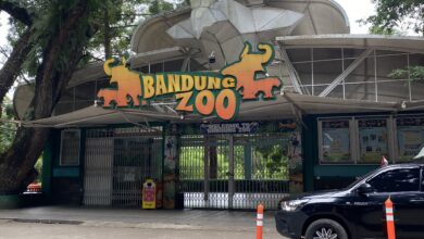 Geopix Desak Otoritas Kendalikan Pembukaan Bandung Zoo dan Prioritaskan Kesejahteraan Satwa