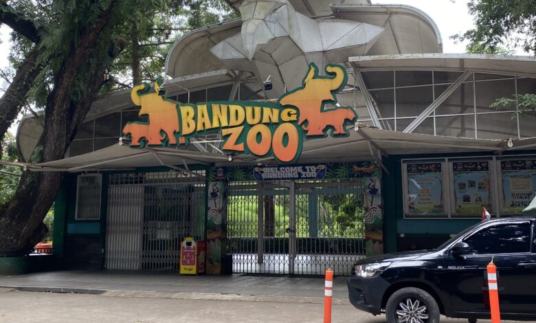 Geopix Desak Otoritas Kendalikan Pembukaan Bandung Zoo dan Prioritaskan Kesejahteraan Satwa