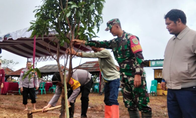 Selain Tanam Jagung, Pemdes Cileksa Kecamatan Sukajaya Tanami Pohon Demi Kelestarian Ekosistem Alam