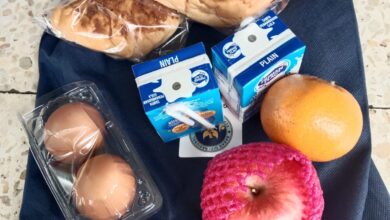 Menu Pembagian Makanan untuk Balita Disorot, Dinilai Belum Sepenuhnya Sesuai Standar Gizi BGN