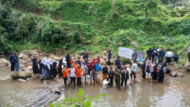 HIPAM Tebar 7.000 Benih Ikan di Sungai Cigamea, Wujud Nyata Jaga Ekosistem Alam Pamijahan