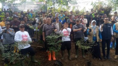 Kolaborasi Lintas Unsur, Kecamatan Leuwiliang Lakukan Penanaman Pohon di Setu Tonggoh