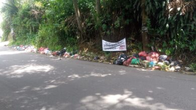 Tumpukan Sampah di Jalan Bojong Rangkas Kembali Muncul, Camat Ciampea Sesalkan Ulah Oknum