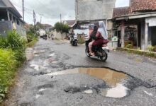 Jalan Berlubang di Kecamatan Lewisadeng, Dikeluhkan Warga Minta Perbaikan Segera