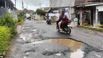 Jalan Berlubang di Kecamatan Lewisadeng, Dikeluhkan Warga Minta Perbaikan Segera