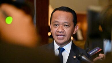 Dorong Transisi Energi dan Percepatan Blok Masela, Kunjungan Presiden Prabowo ke Jepang Hasilkan Komitmen Strategis