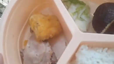 Buah Busuk hingga Nasi Basi, MBG Sukajaya Viral di Media Sosial