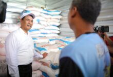 Pupuk Dunia Langka di Tengah Krisis Geopolitik, Presiden Prabowo Justru Turunkan Harga 20% untuk Petani
