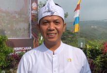 Aan Teriana: Turut Berduka, Tegas Mengecam Pemburu Babi Hutan di Jasinga di Hukum Tanpa Pandang Bulu