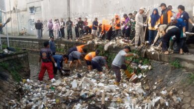 Kolaborasi Jaga Kelestarian Alam, Forkopimcam Ciampea dan Pemdes Cihideung Ilir Gelar Aksi Bersih Sungai dan Tabur Benih Ikan