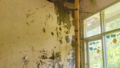 Ironi HUT ke-81 RI, SDN Sukamaju 08 Nanggung Nyaris Ambruk, Plafon Kelas Ditopang Bambu