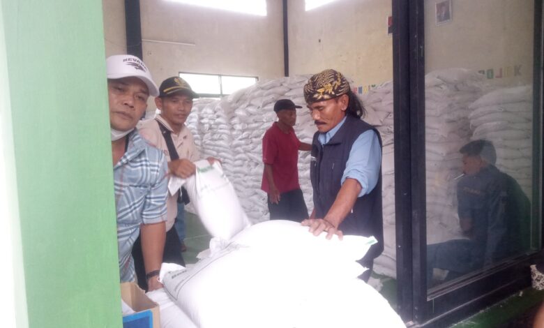 2.728 KPM Desa Purasari Terima Bantuan Beras untuk Tiga Bulan