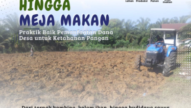 Dana Desa Dorong Ketahanan Pangan, Dari Lahan hingga Meja Makan