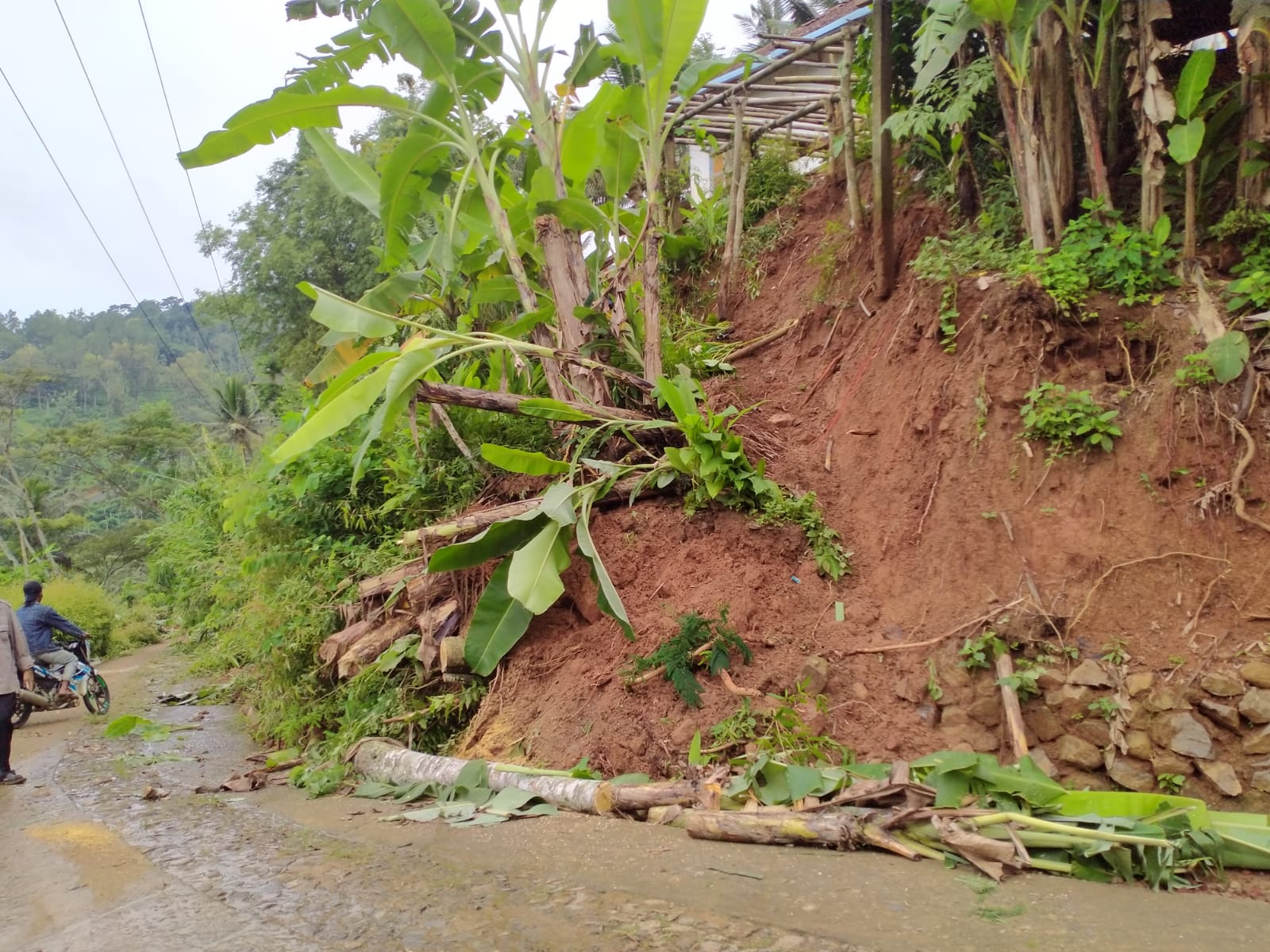 970aff9a 3419 45c1 b8fa 1bb81bcf289f