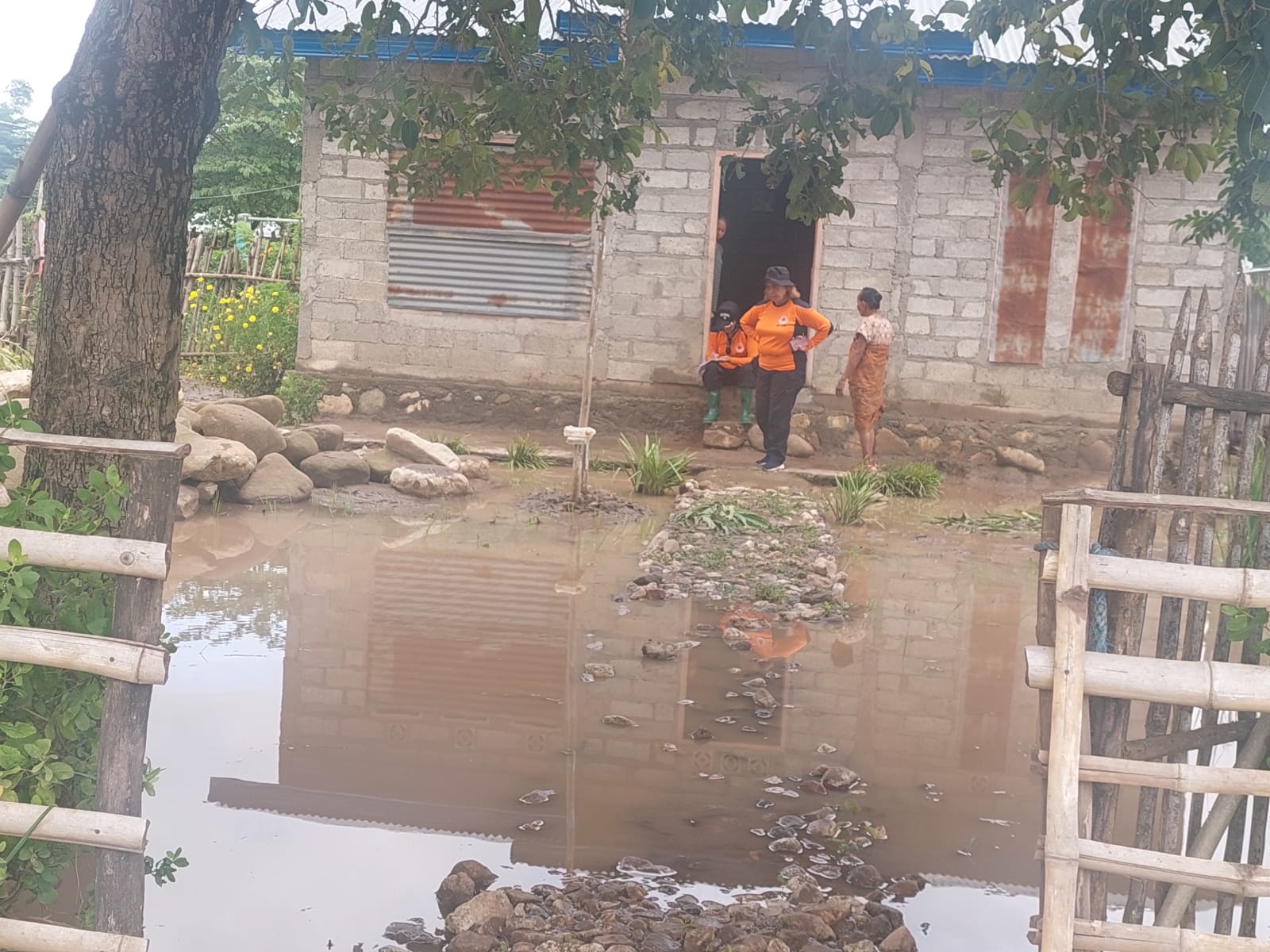 ca6221ee d932 49a6 962f a24292bb59ba