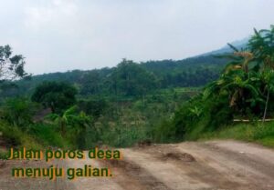 277217045 526255942404782 3379927780782679375 n 1