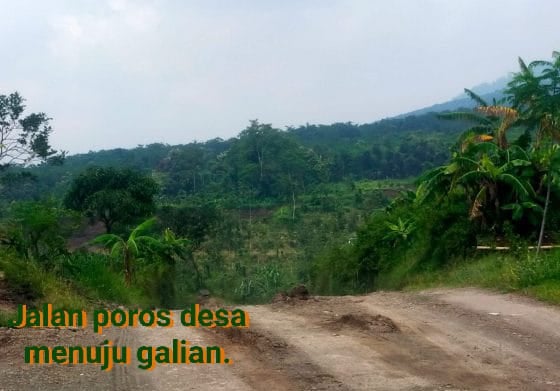 277217045_526255942404782_3379927780782679375_n 277217045 526255942404782 3379927780782679375 n 1