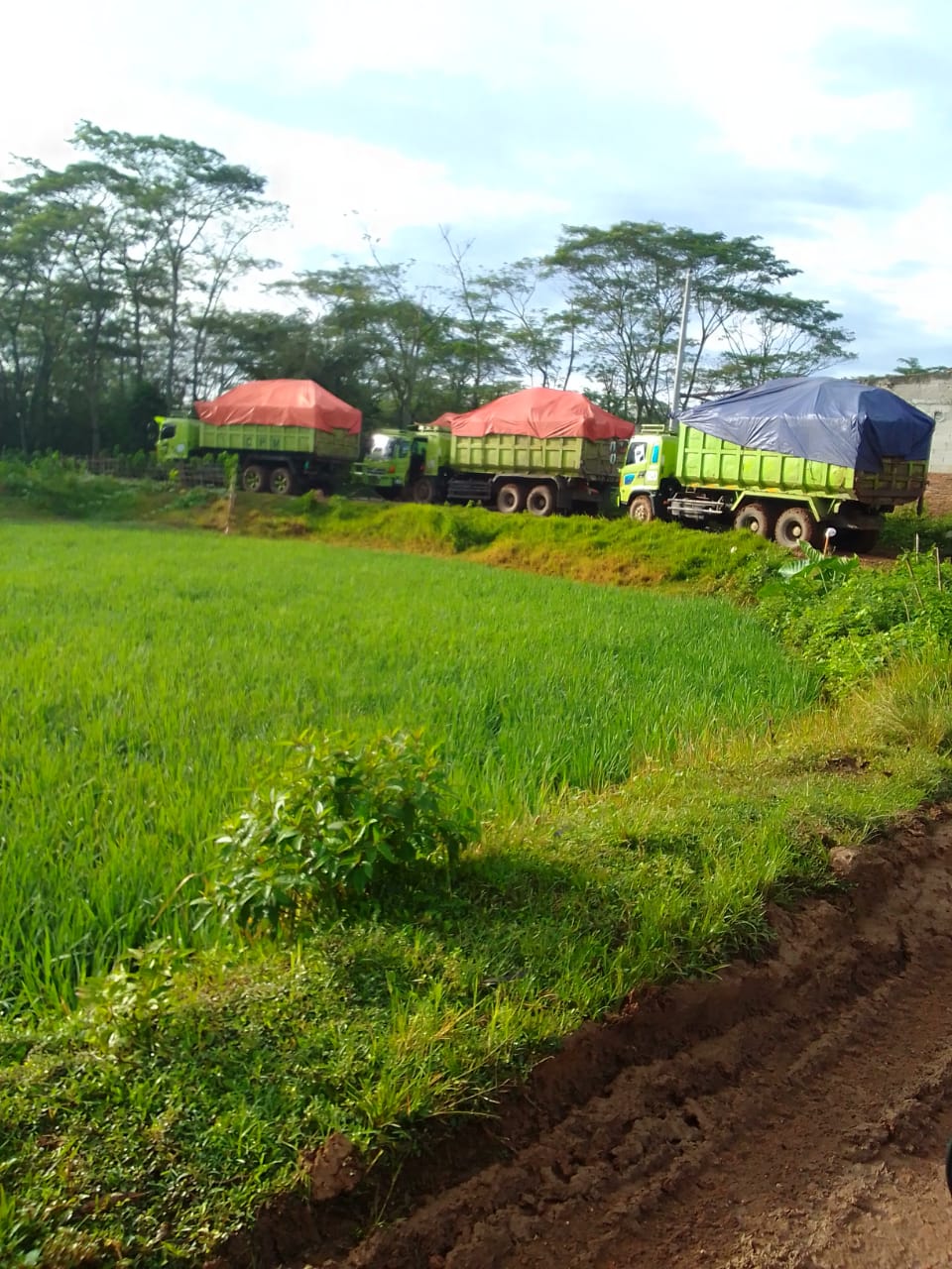 IMG-20230323-WA0016 IMG 20230323 WA0016