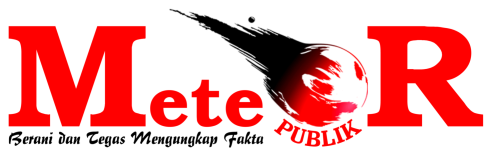 Meteor Publik