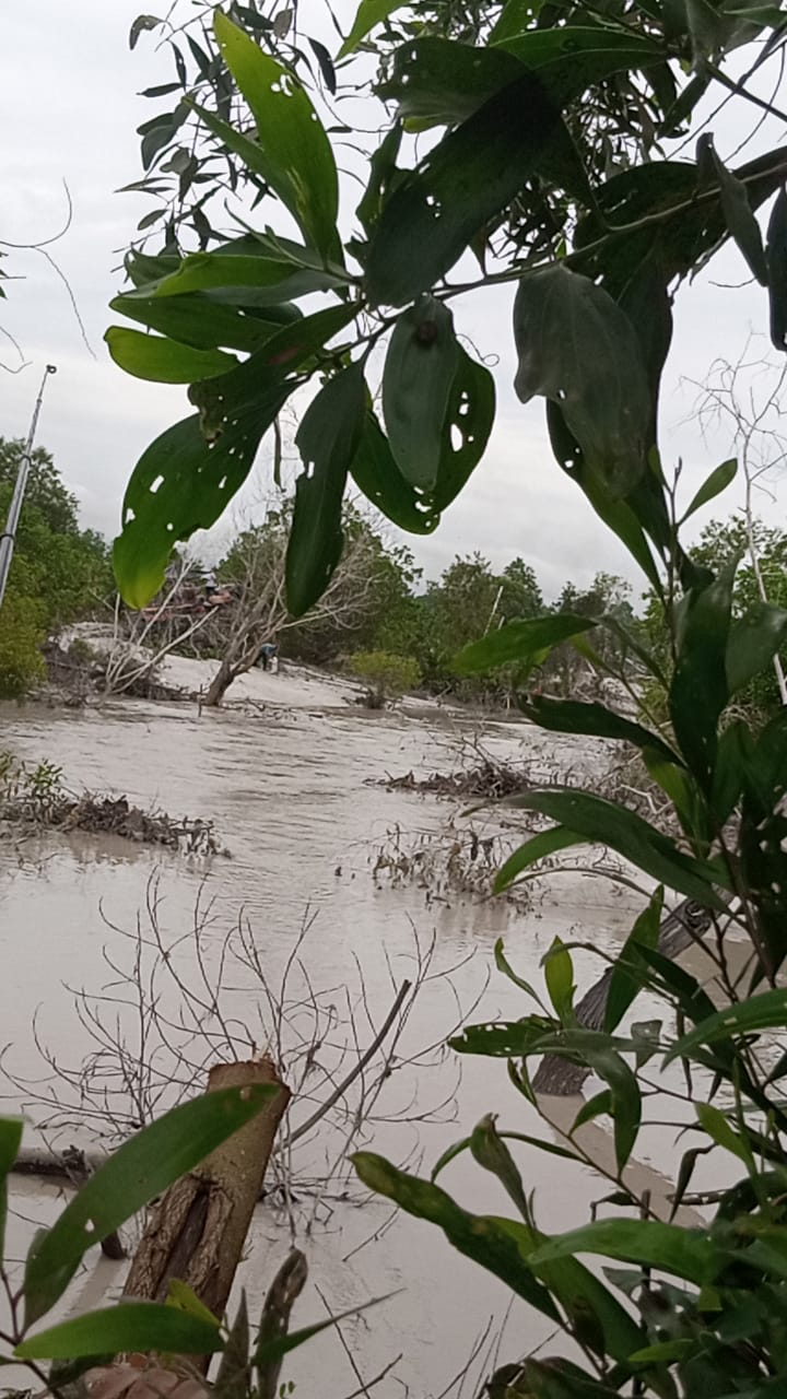 penambang Timah ilegal yang beroperasi di Aluran sungai menuju laut Berok tersebut semakin menggila. WhatsApp Image 2021 02 02 at 18.42.17