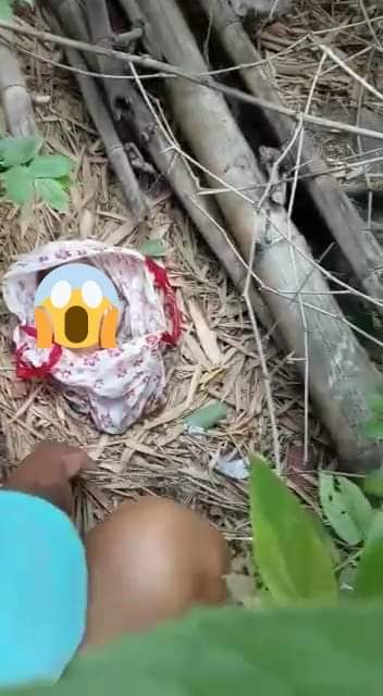 IMG 20210901 WA0053 1