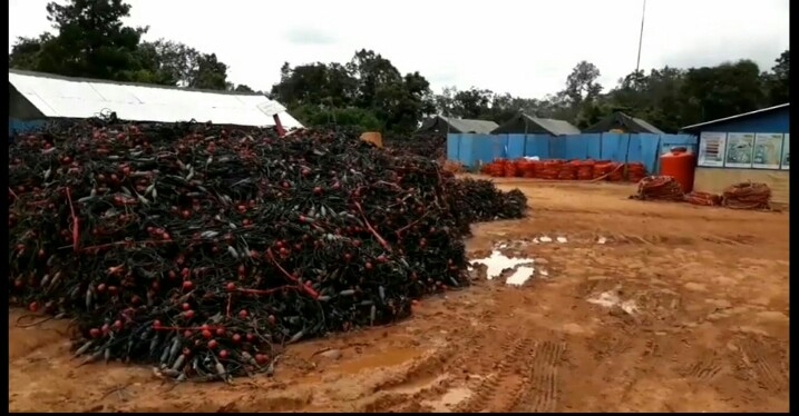 IMG 20210914 074605 1