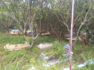 IMG 20220309 WA0004 1