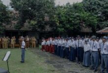 1768285424 1000507208