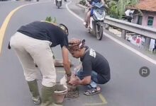 WhatsApp Image 2026 02 21 at 14.18.52